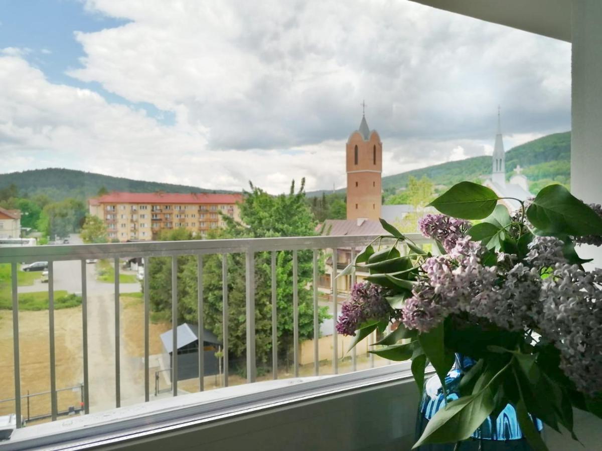 Apartament Gromadzyn 39 Устрики-Долішні Екстер'єр фото